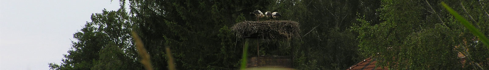 Ferienhaus Harting im Spreewald